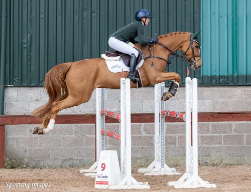 March 3 Day Show Report